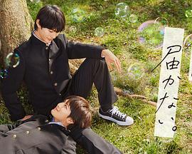 不可撤销百度影音电影海报剧照